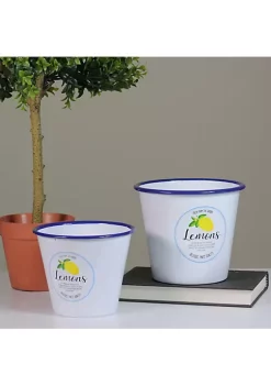 Raz Set of 2 Fresh from the Garden Lemon Metal Buckets 6.75" -Southern Tide Shop Belk 540